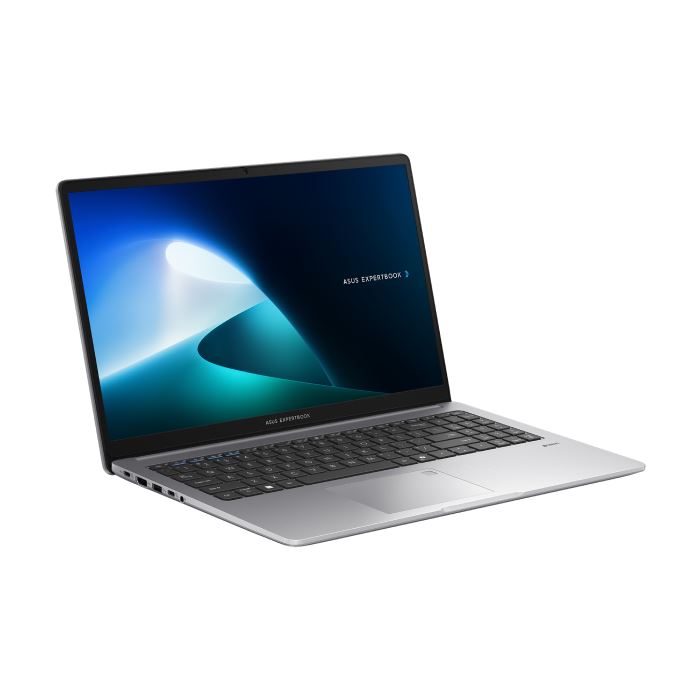 لپ تاپ ExpertBook P1 P1503CVA ایسوس - Core i5-13500H Iris Xe 8GB 512GB